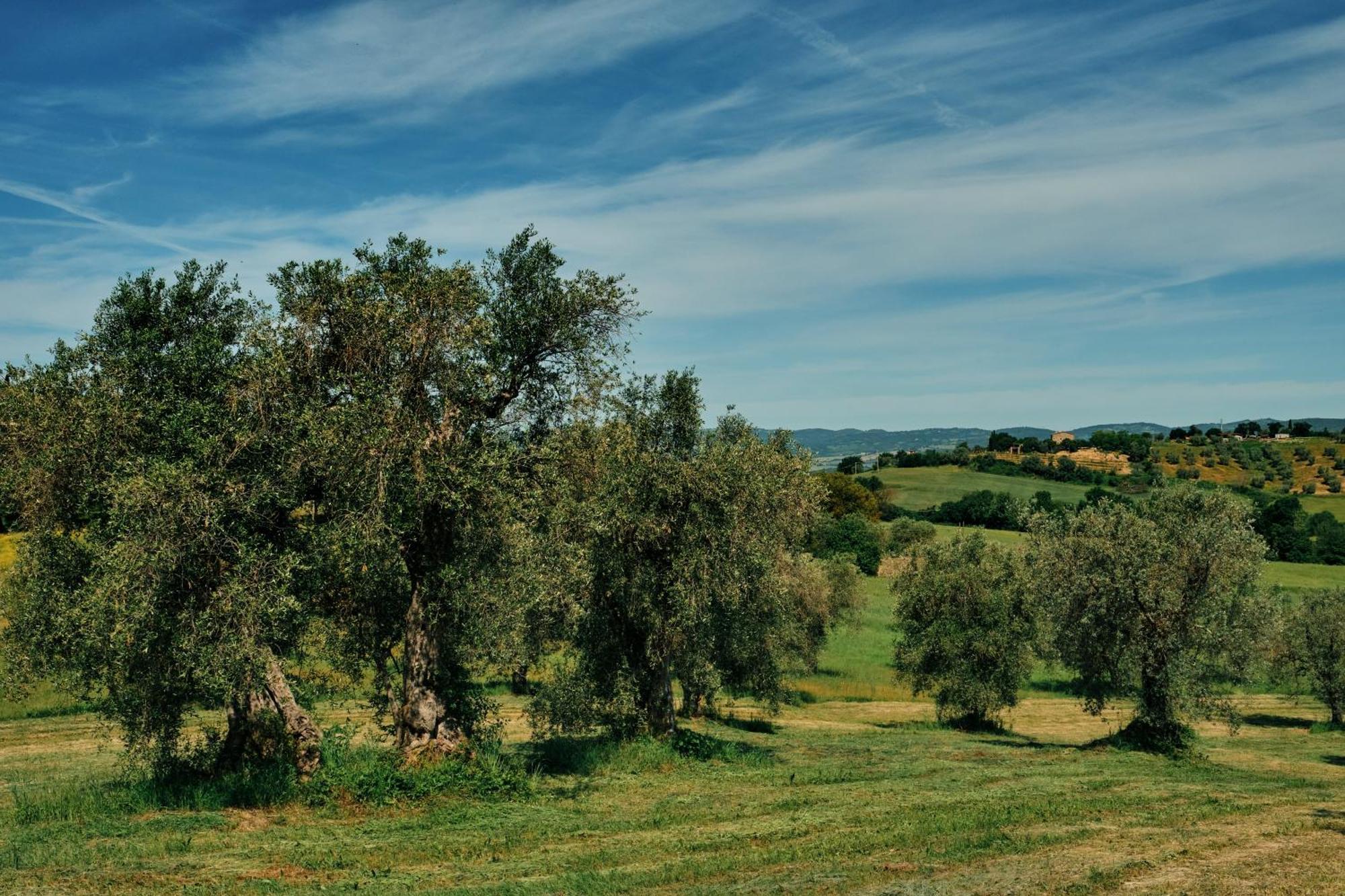 8380 Agriturismo Il Saragiolo Manciano Exterior foto